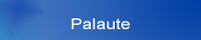 palaute